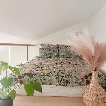 Downtown Sunny Balcony ,new Loft,walk Everywhere, 1 Beds And 1 Sofa Bed Appartamento *